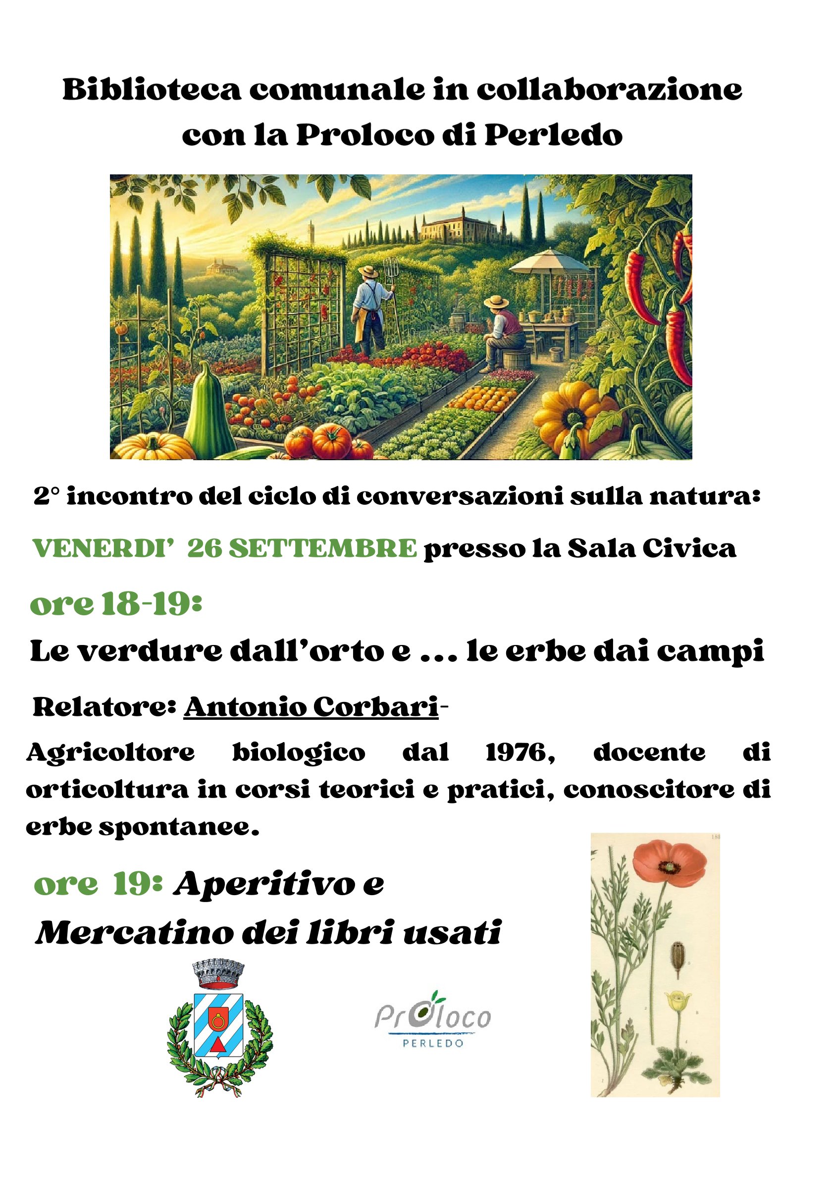 Immagine anteprima