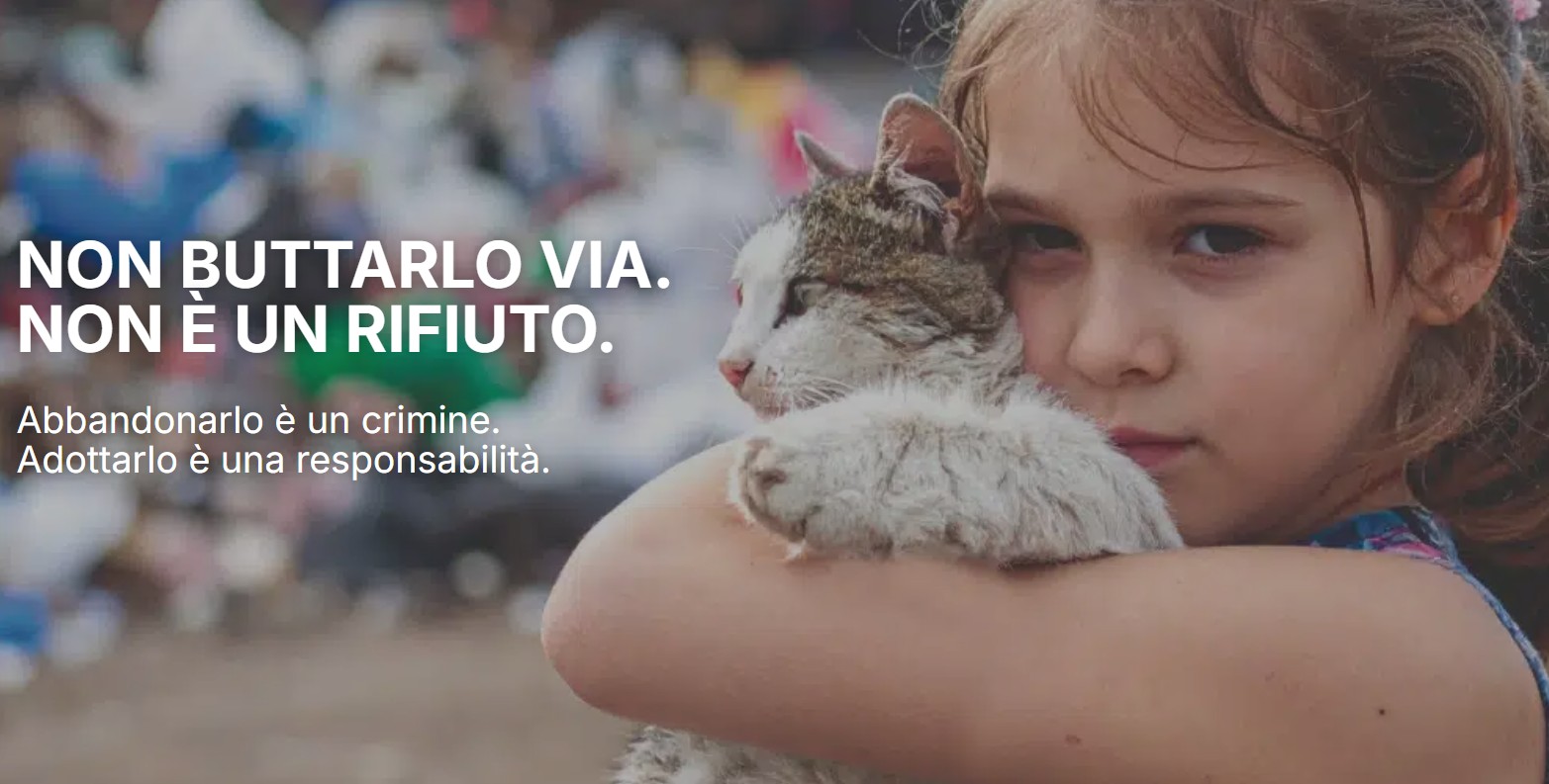 Immagine anteprima